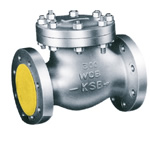 Stainless Steel Valves
